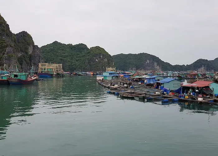 Maison d'hôtes Vip Hoa Lan Hạ Long